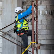 Safewaze FS060 Web Assembly 18 Inches